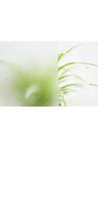 glastuer_loft_madras_opus_ornamenttueren